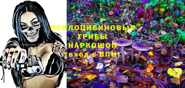 СК Кукмор