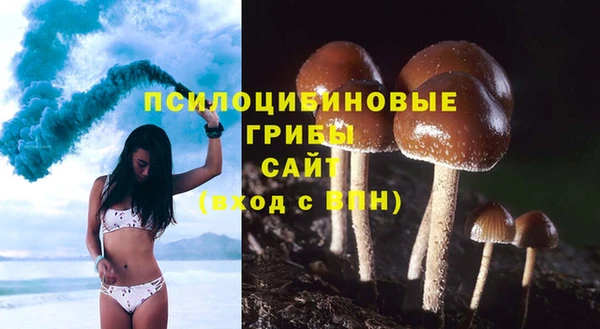 СК Кукмор