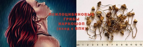СК Кукмор