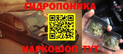 индика Шебекино