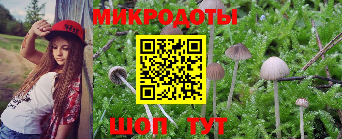 Галлюциногенные грибы Magic Shrooms Новоалександровск