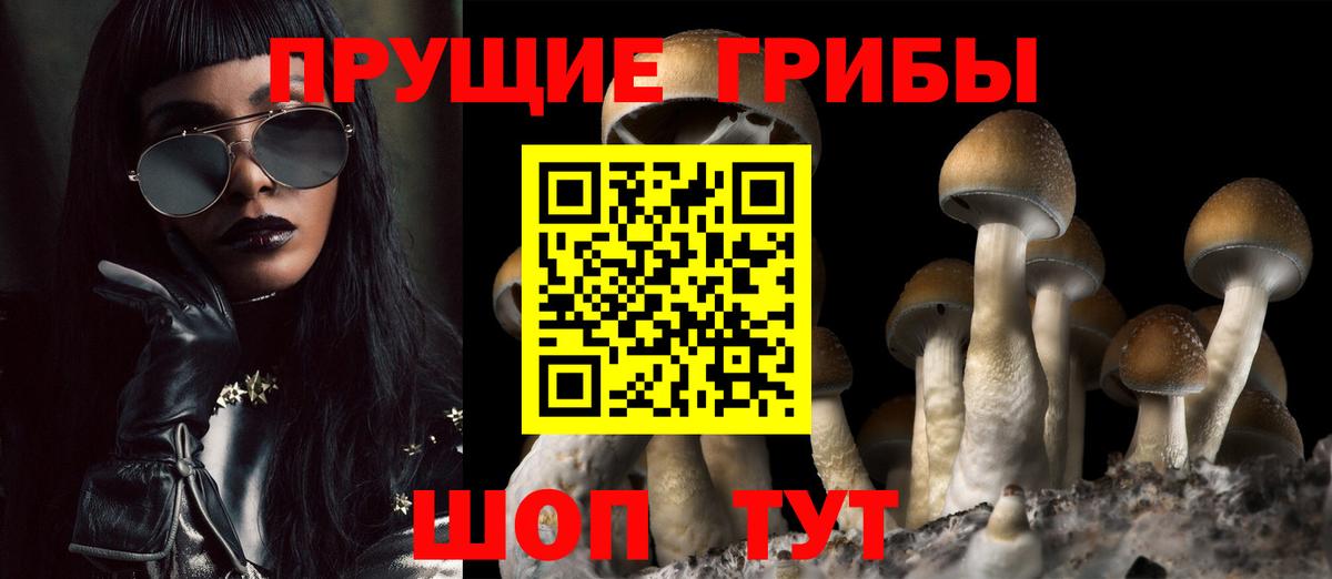 Галлюциногенные грибы мухоморы  Вход с VPN  Новоалександровск  Псилоцибиновые грибы мицелий 